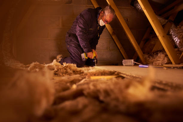 Best Insulation Contractors for Homes  in Seward, AK